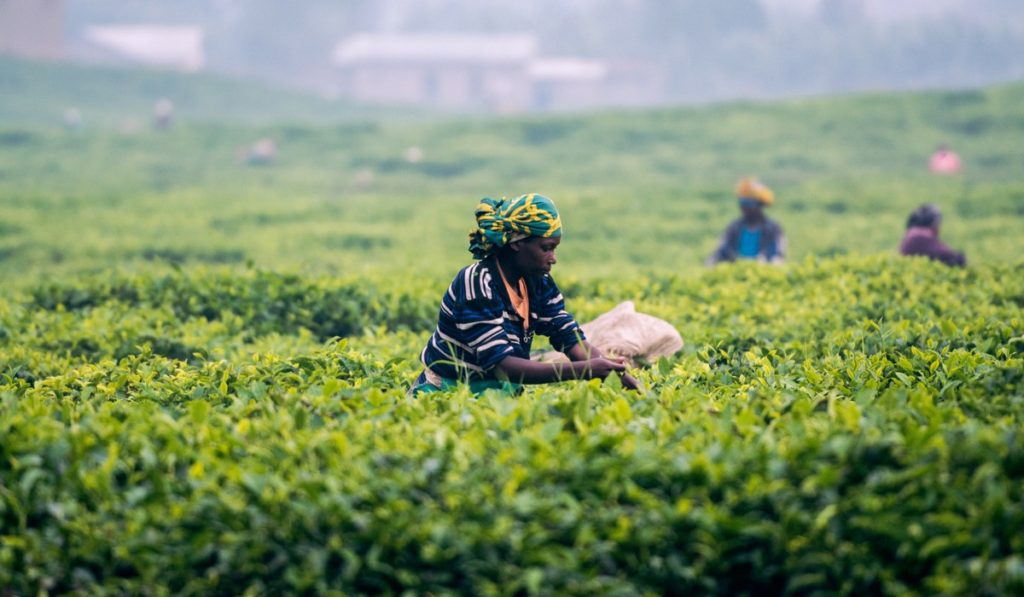 Africa Urgently Needs $100 Billion to Face Coronavirus Pandemic