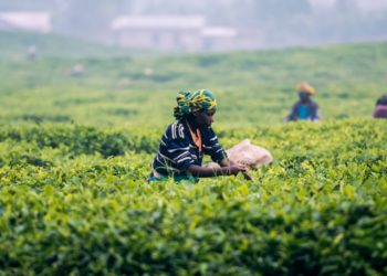 Africa Urgently Needs $100 Billion to Face Coronavirus Pandemic