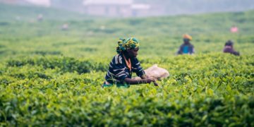 Africa Urgently Needs $100 Billion to Face Coronavirus Pandemic