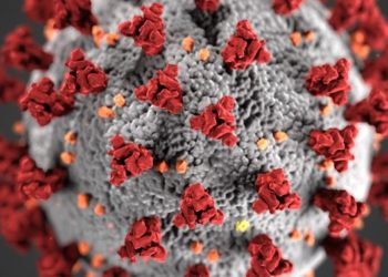 Egypt announces 9 new COVID-19 cases, 2 additional deaths; 41 recovered so far