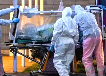 Morocco Confirms 12 New COVID-19 Cases, Bringing Total to 402