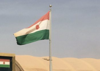 Niger army repels Boko Haram attack, 50 extremists killed - govt