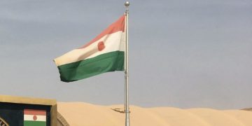 Niger army repels Boko Haram attack, 50 extremists killed - govt