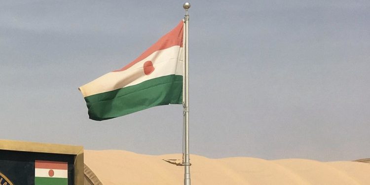 Niger army repels Boko Haram attack, 50 extremists killed - govt