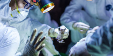 Panic grips Victoria Falls after Covid-19 case confirmed from town