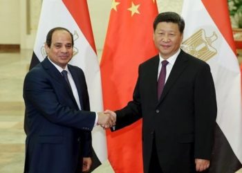 Sisi phones China’s Xi Jinping for cooperation on combating COVID-19