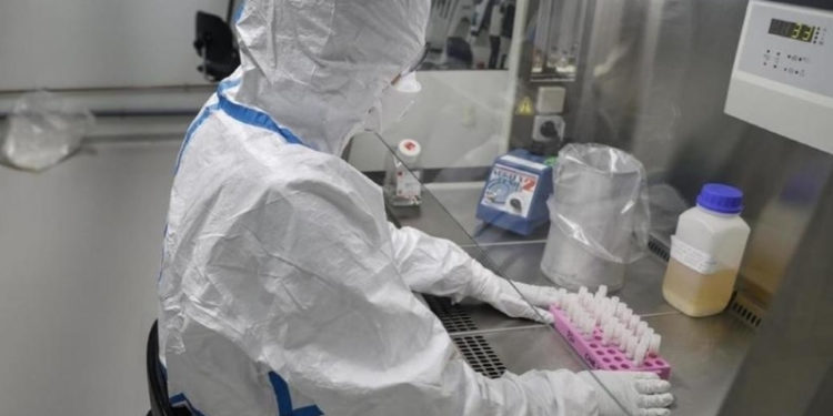 Zimbabwe’s COVID-19 Cases Rise To Seven As Two More Test Positive