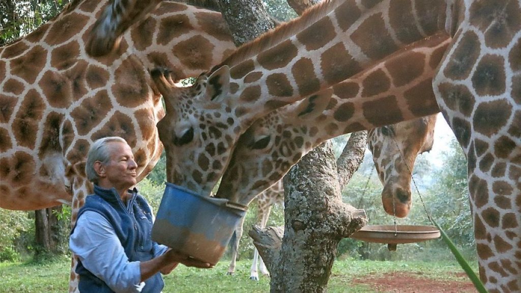 Peter Beard, Chronicler of African Wildlife and the Studio 54 Set, Has Died