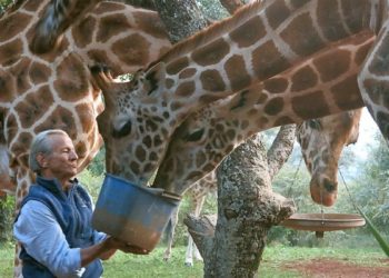 Peter Beard, Chronicler of African Wildlife and the Studio 54 Set, Has Died