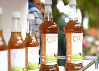 COVID-organics: Madagascar launches Africa's first cure for virus