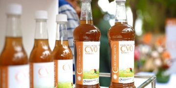 COVID-organics: Madagascar launches Africa's first cure for virus