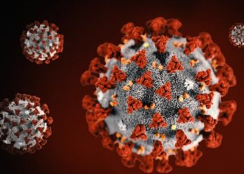 Chinese Community in Lagos Pledges to Support Fight against COVID-19