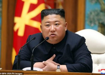 Kim Jong Un sends letter to South African president despite death drumours