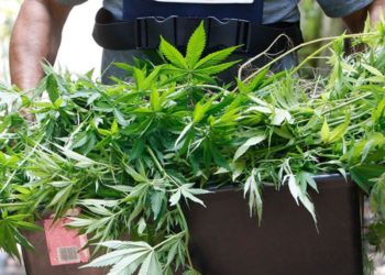 Soldier opens fire in Gambia after being arrested with cannabis