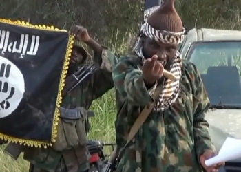 Boko Haram bombers kill seven in Cameroon
