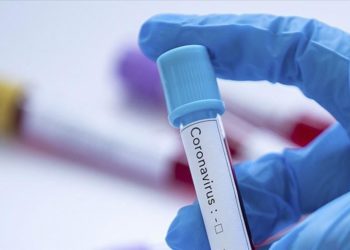 COVID-19: Angola reports no case in 24 hours