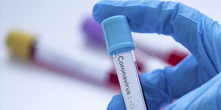 COVID-19: Angola reports no case in 24 hours