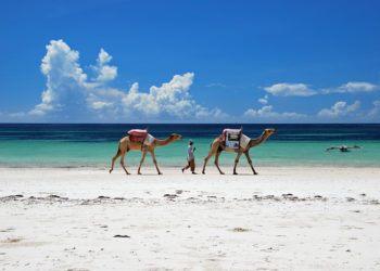 Diani Beach