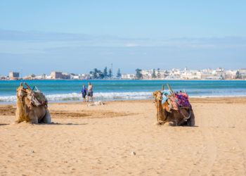 Essaouira Beach