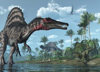 Fossil Discovery in Morocco Reveals Ancient African River