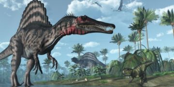 Fossil Discovery in Morocco Reveals Ancient African River