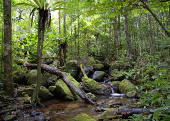 Masoala National Park