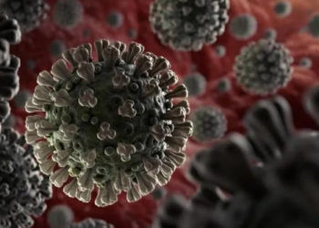 Morocco Reports 122 New COVID-19 Cases in 24 Hours, 11 Fatalities