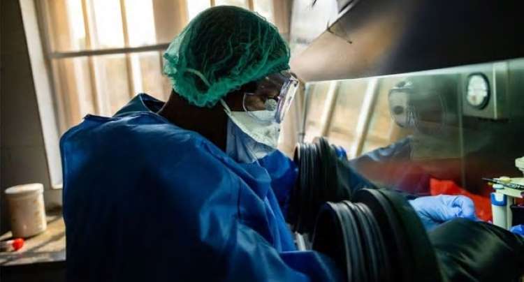 Nigeria’s coronavirus cases jump by single-day record of 195 cases