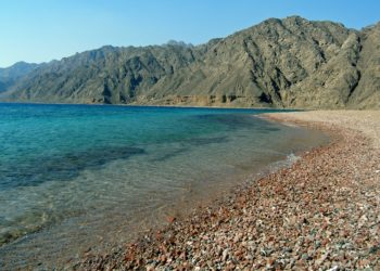 Ras Abu Galoum, Dahab