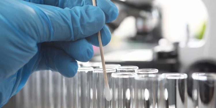 South Africa: Covid-19 cases rise to 1 655, death toll increases