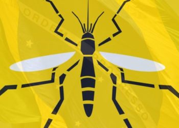 WHO declares yellow fever outbreak in South Sudan