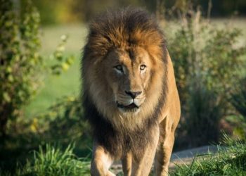 UNWTO leads call for firm action by governments to support tourism recovery