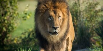 UNWTO leads call for firm action by governments to support tourism recovery