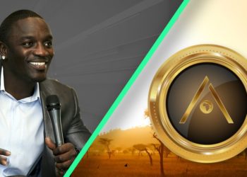 Money moves: Singer Akon inks deal with Kenyan tycoon as cryptocurrency project takes root