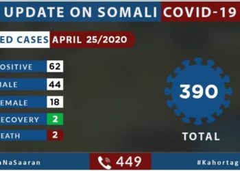 Coronavirus - Somalia: Update on COVID-19 in Somalia (25 April 2020)
