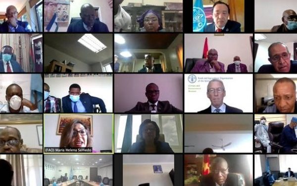 Coronavirus – Africa: FAO of the United Nations and African Union commit to safeguarding food security amid crisis