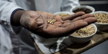 Africa risks reeling from a health crisis to a food crisis