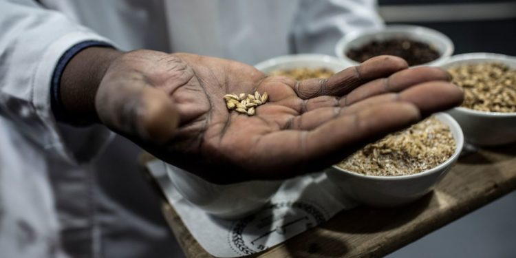 Africa risks reeling from a health crisis to a food crisis