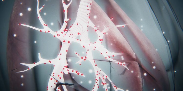 Formerly of Radio Gambia and UN Radio anchor, dies with covid-19