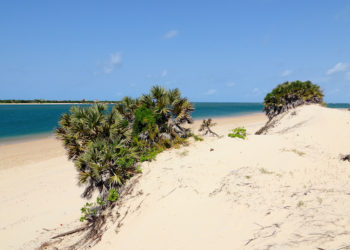 Lamu Beaches