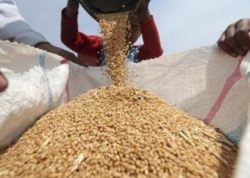 WFP to import 200,000 tonnes of wheat for Sudan