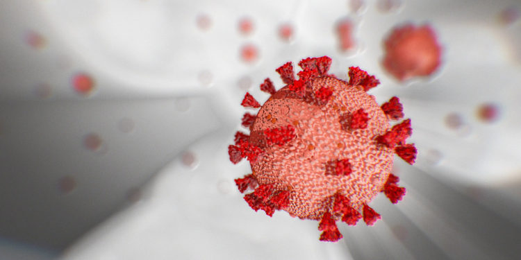 Sudan: 100 New Cases of Infection with Corona Bring Total Number to 778