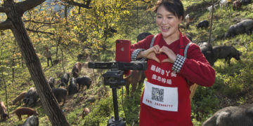 Digital: E-commerce pilot projects to be created in 100 counties