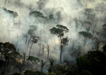 Brazil sends in troops to protect rainforest