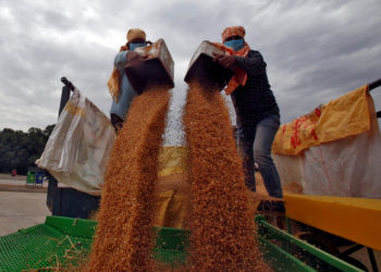 India sends drones to track desert locust plague