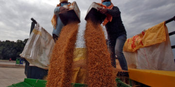 India sends drones to track desert locust plague