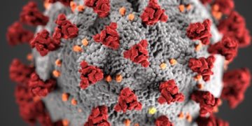 COVID-19: Egypt records 346 cases, 8 deaths