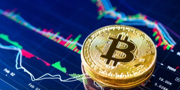 Zimbabwe: Zimbocash Lists On Cryptocurrency Exchange Platform