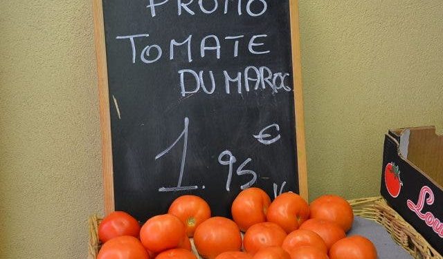 Morocco’s Agricultural Exports Increase by 8% in First 5 Months of 2020