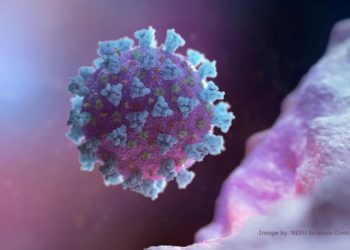 COVID-19: Gambia registers 5 new confirmed cases